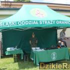 Fotka nr 5 z 75