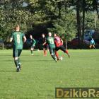 zdjęcie nr 19