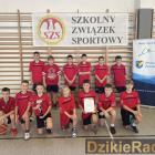 zdjęcie nr 8