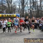 zdjęcie nr 70