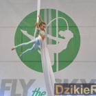 zdjęcie nr 22