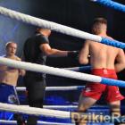 zdjęcie nr 102