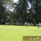 Fotka nr 4 z 18