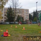 zdjęcie nr 78
