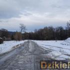 zdjęcie nr 8