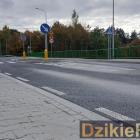 Fotka nr 4 z 10