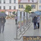 zdjęcie nr 13