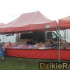 zdjęcie nr 308