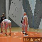 zdjęcie nr 212