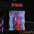 zdjęcie nr 23