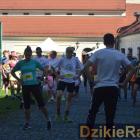 zdjęcie nr 77