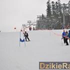 zdjęcie nr 168