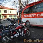 zdjęcie nr 25