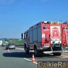 Fotka nr 3 z 12