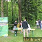 zdjęcie nr 24