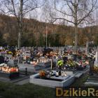 zdjęcie nr 40