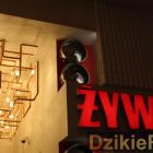 Fotka nr 3 z 52