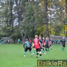 zdjęcie nr 13