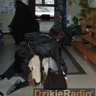 zdjęcie nr 14