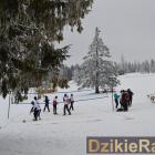 zdjęcie nr 15