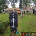 zdjęcie nr 72