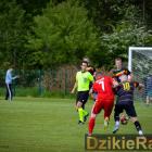 zdjęcie nr 15