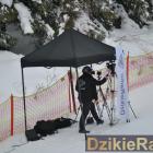 zdjęcie nr 182