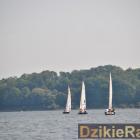 zdjęcie nr 120