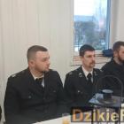 Fotka nr 5 z 35