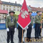 zdjęcie nr 73