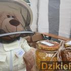 zdjęcie nr 71