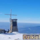 zdjęcie nr 8