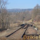 zdjęcie nr 7
