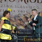 zdjęcie nr 120