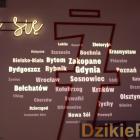 zdjęcie nr 34
