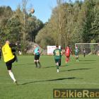 zdjęcie nr 135