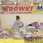 zdjęcie nr 39