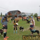 zdjęcie nr 30