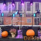 zdjęcie nr 201