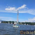 zdjęcie nr 163