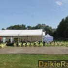 zdjęcie nr 201