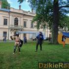 zdjęcie nr 99