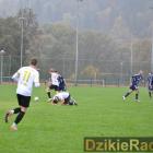 Fotka nr 4 z 287