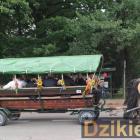 zdjęcie nr 29