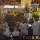 zdjęcie nr 32