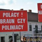 zdjęcie nr 76