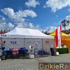 zdjęcie nr 25