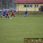 zdjęcie nr 42