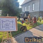 zdjęcie nr 55