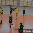 zdjęcie nr 142